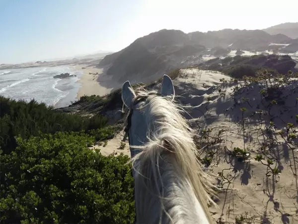 Beachcomber Horse Trails